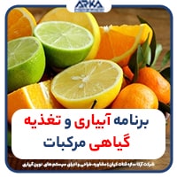 برنامه آبیاری و تغذیه گیاهی مرکبات