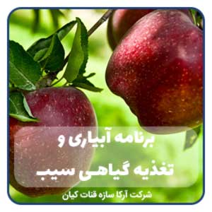 برنامه آبیاری و تغذیه درخت سیب