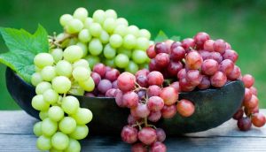 برنامه آبیاری و تغذیه گیاهی انگور | شرکت آرکا سازه قنات کیان