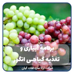 برنامه آبیاری و تغذیه گیاهی انگور