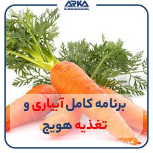 برنامه آبیاری و تغذیه هویج